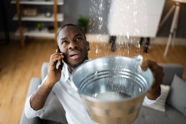 Best Flood damage cleanup  in Bartonsville, MD