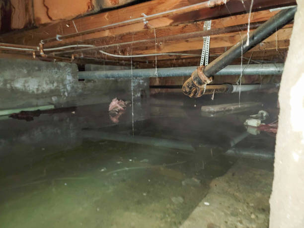 Best Water damage restoration specialists  in Bartonsville, MD