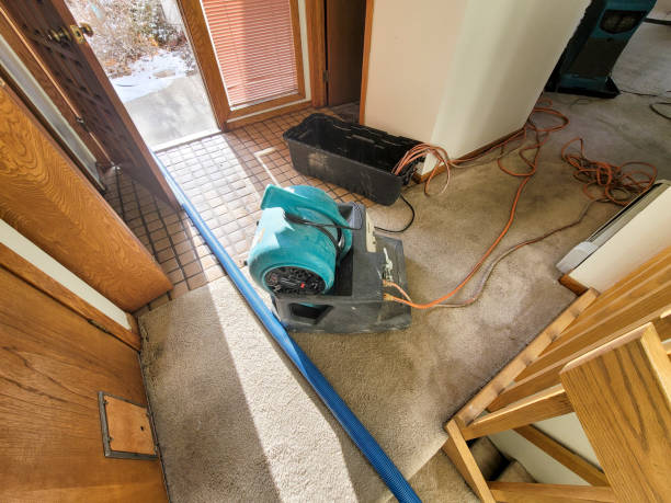 Best Water damage contractors near me  in Bartonsville, MD