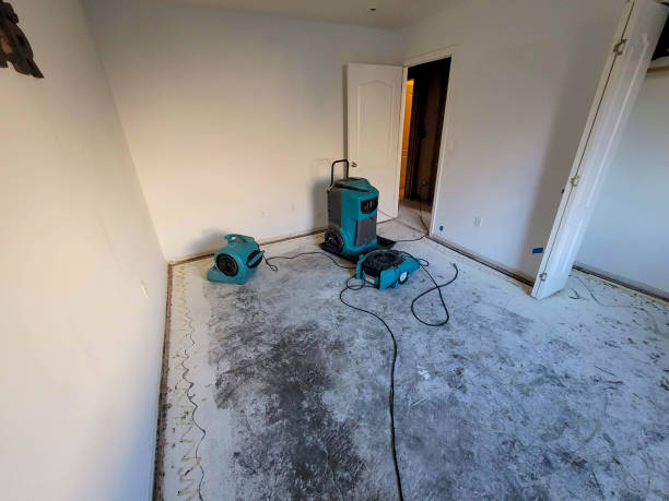 Best Basement water damage restoration  in Bartonsville, MD