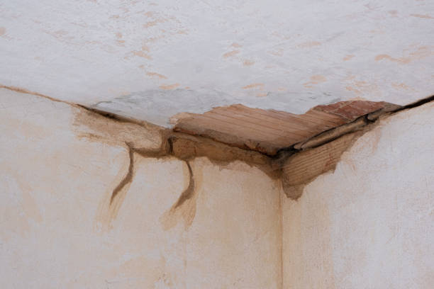 Best Water damage restoration process  in Bartonsville, MD