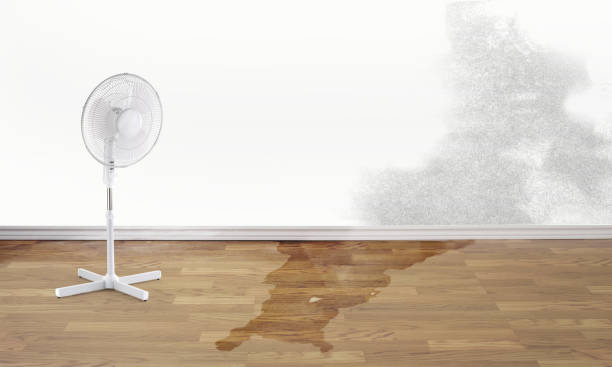 Best Water damage restoration mold remediation  in Bartonsville, MD