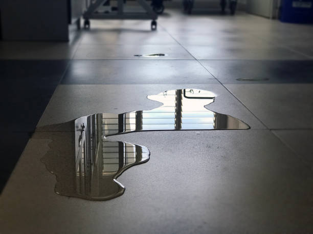 Best 24/7 water damage repair  in Bartonsville, MD
