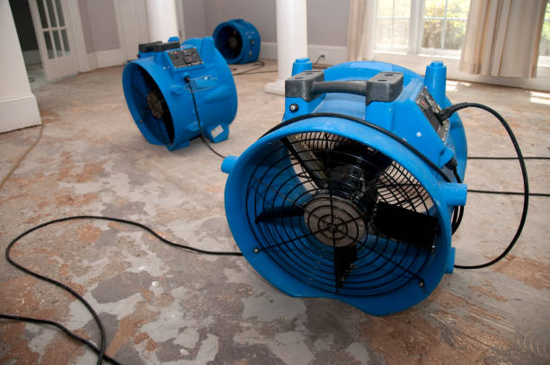 Best Water damage restoration near me  in Bartonsville, MD