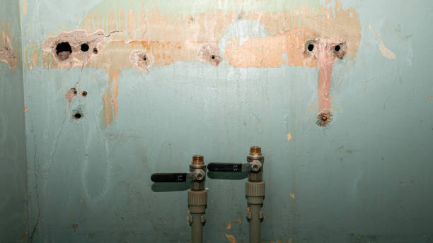 Best Local water damage restoration  in Bartonsville, MD
