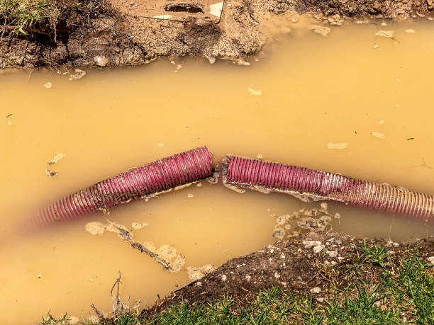 Best Professional water damage repair  in Bartonsville, MD